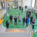 펠릿 이미지