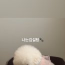 패티드(patted) 네이버블로그