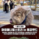 포천도시공사노동조합 | 경기 포천 마이애니멀스토리, 귀여운 동물이 가득한 평강랜드 탐방기