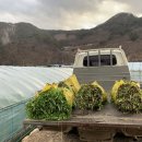 한재농장 이미지