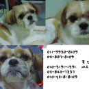 금비디오 이미지