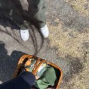김포 다도박물관 | 김포 다도박물관 리뷰 | 김포, 서울 근교 피크닉 데이트 추천