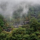 숲속당구 이미지