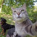 도연가든 이미지