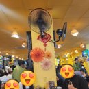 도깨비보물창고 | [다낭 맛집] 미케비치 근처 해산물 천국 '목식당(Mộc Quán)' 솔직 담백 내돈내산 후기! 🦐🦀