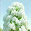 모악산도립공원 이미지