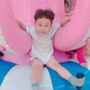 카페시율 이미지