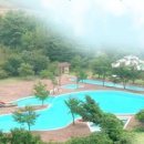 서지농원 이미지