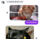 복*서 이미지