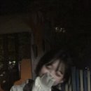 CW-2303-01 | 170cm 이상은 보지마라.. 키작남 남친룩 코디세트 5가지 추천해줄게요!