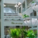 포레스트 이미지