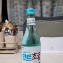 민트초코(Mint choco) 티스토리