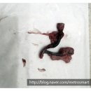 봉 동물병원 이미지