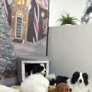 코코앤몽 이미지