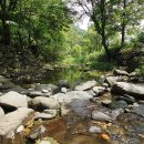 호두나무캠핑장 이미지