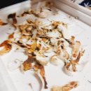 은하숯불회관 | [봉화맛집] 은하숯불회관가격, 소불고기포장 &amp; 자연산송이랑 꿀맛