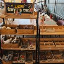 세일목장 | 제주도 도치돌알파카목장 내돈내산 후기