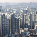 강남-014 이미지