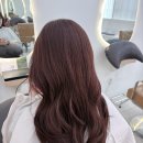 217헤어살롱목포하당점 네이버블로그