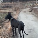 맥스농장 이미지