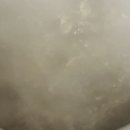 옥정리식당