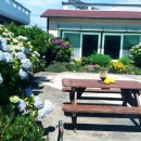 놀멍쉬멍고르멍 이미지