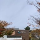 서울근교무료캠핑장/강풍주의보 우중캠핑/캠플 쉘터 그늘막 후기/원터치쉘터추천/캠핑요리/서해 차박