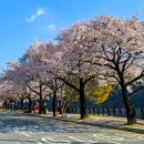 (주)스카이워크 이미지