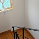 제주늘보의오후 이미지