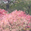 상동시민의강 이미지