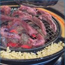 신마포갈매기 네이버블로그