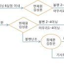 ＜드루와＞ 투수는 누가 있나요? 이미지