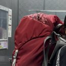 아미쿠스짐 이미지