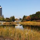 올림픽공원 이미지