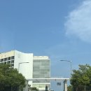 가운중학교 | [부산/기장]아난티 앳 부산 코브 - 오션뷰 인생 숙소 추천,수영장후기