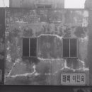 태백여인숙 네이버블로그