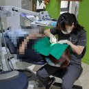 나눔이치과의원 네이버블로그