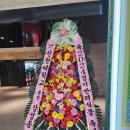 (주)홍익휴먼스 이미지