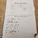 토리펫 | 인천 부평 산책 케어 펫시터 방문후기 with 웰시 토리