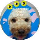 몽쁘띠끄 이미지