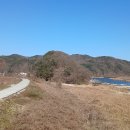 장포농장 이미지