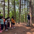 춘천유치원 이미지