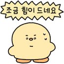 마티나로스팅커피머신 이미지