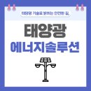 샤크인터내셔널