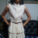 블루머핀 이미지