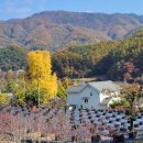 추평농장 이미지