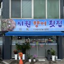 시원향어횟집 이미지