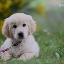 참사랑동물병원 이미지