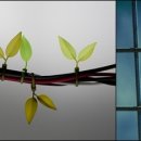 그린디자인 - 양주시 평화로 1138 | 그린디자인