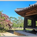 문양역길 이미지